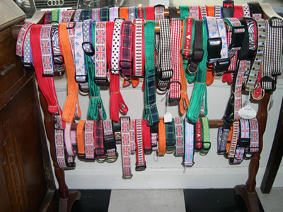 Dog collars available to buy