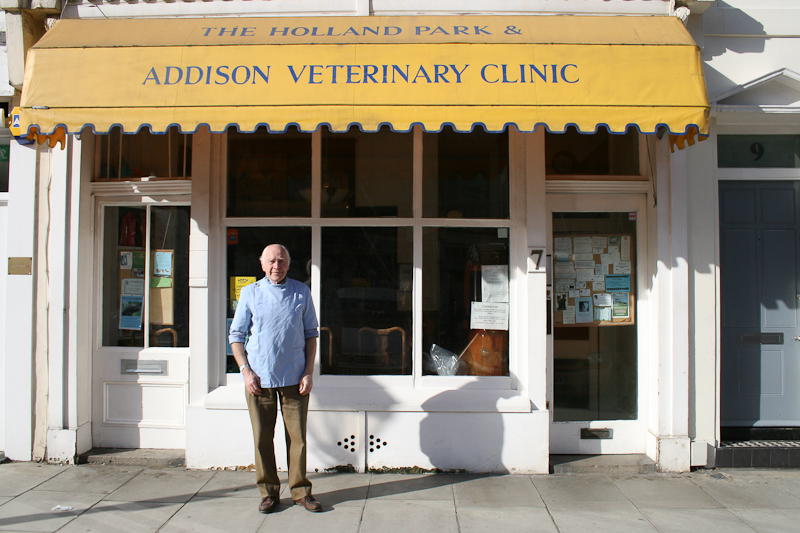 THE ADDISON & HOLLAND PARK VETERINARY CLINIC independant veterinary